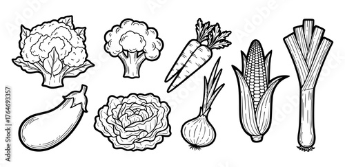 Set of vegetables in vector: cauliflower, eggplant, carrot, broccoli, onion, corn, parey.