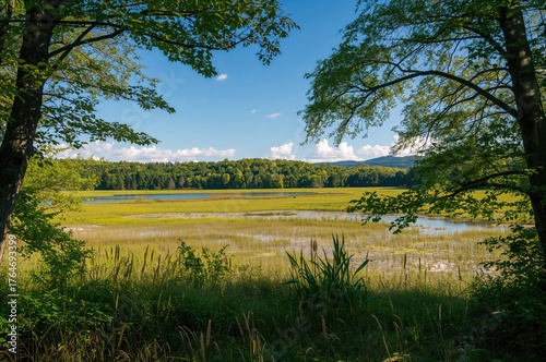 Fototapeta Naklejka Na Ścianę i Meble -  Landscape of a Vast Wetland