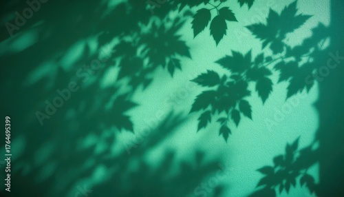 Leaves Cast Intricate Shadows on a Teal Wall in a Serene Indoor Setting During the Afternoon