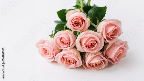 Bouquet of roses against a plain white backdrop