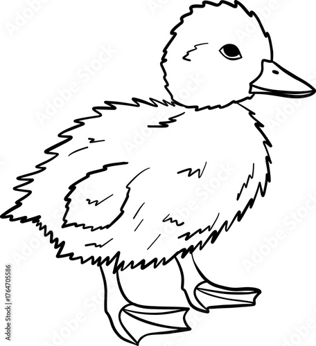 Coloring page duck vector illustration for children. Easy to use and customize. Perfect for preschool and kindergarten worksheets, homeschooling materials, or fun activity books