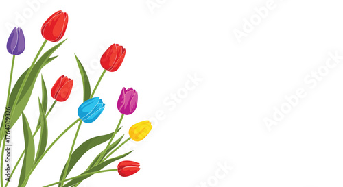 Colorful Tulips Arrangement Spring Flowers Isolated White Background.