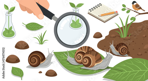Exploring snails in nature with a magnifying glass and notepad in flat design