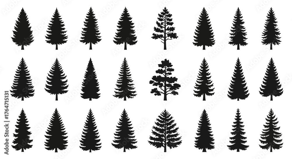 Fototapeta premium Collection of Evergreen Tree Silhouettes for Design Projects