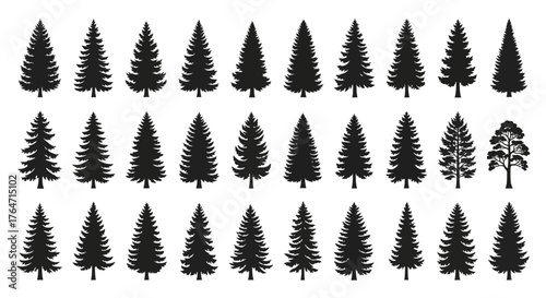 Set of Various Pine Trees Silhouettes Isolated on White Background for Christmas Design