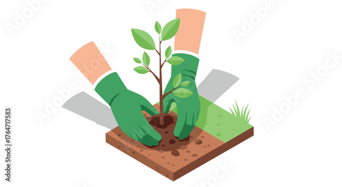 Planting tree sapling with green gloves in isometric style for gardening