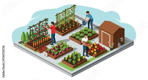 Urban garden isometric design with people tending vegetables and plants