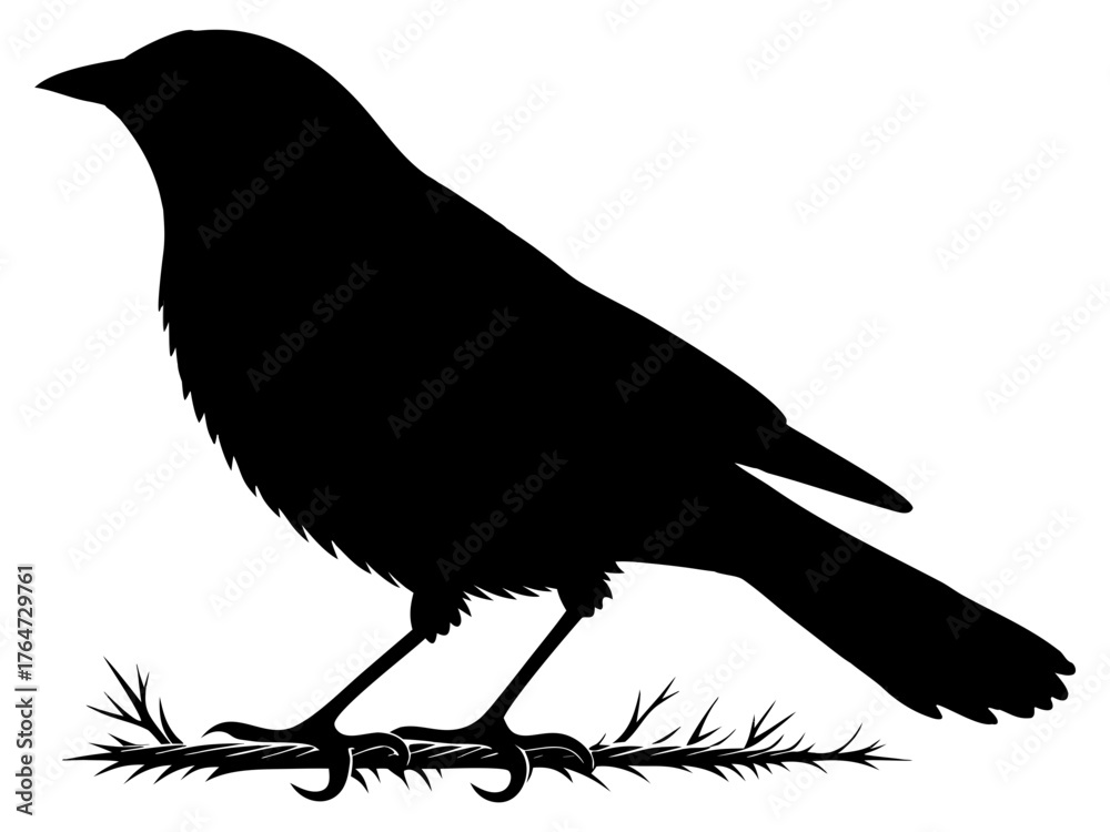 Obraz premium bird silhouette on white background