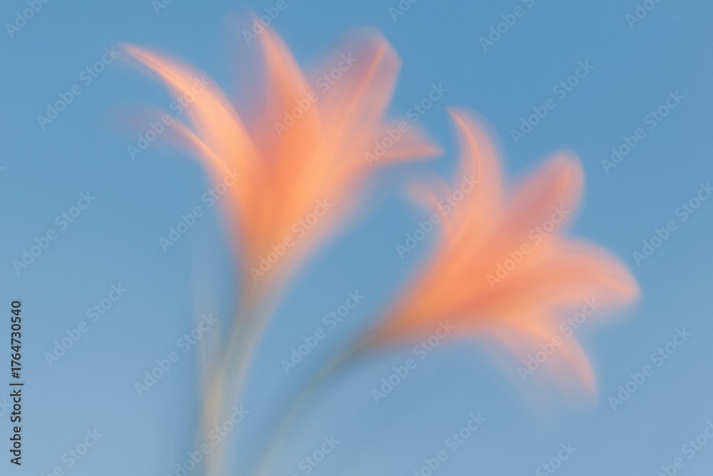Fototapeta premium Dreamy pastel floral with soft motion blur and sunny blue sky