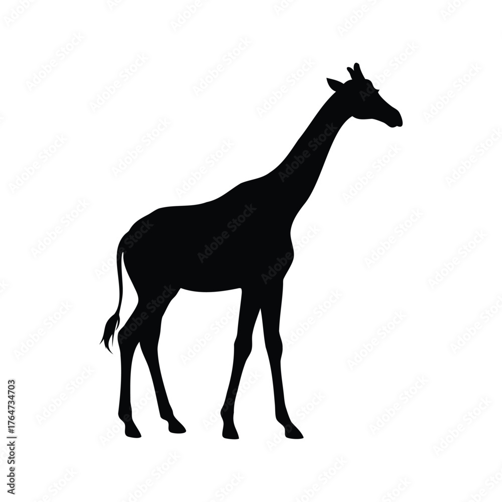 Obraz premium A black giraffe silhouette standing against a plain white background, majestic African creature, giraffe standing silhouette vector illustration