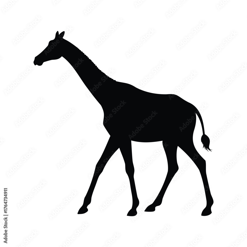 Obraz premium Graceful Giraffe Silhouette Strolling Serenely Across the White Expanse of the Image, giraffe walking silhouette vector illustration
