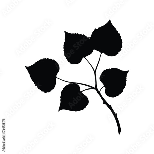 Black silhouette of a young branch with leaves isolated on white background, poplar branch silhouette vector illustration