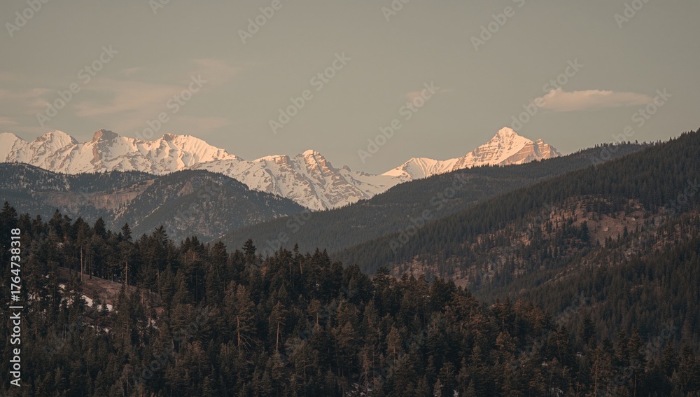 Fototapeta premium Scenic panorama of forested hills and rugged cliffs at sunset