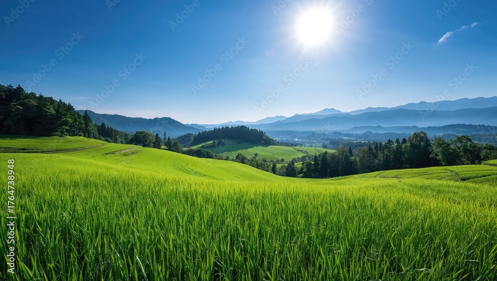 Obraz premium Terraced Rice Fields in a Mountainous Region