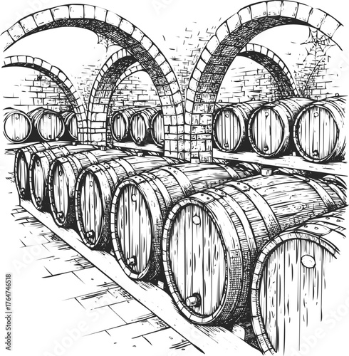 Sketch of wine barrels stored in a rustic cellar with arched stone ceilings evoking tradition engraving art