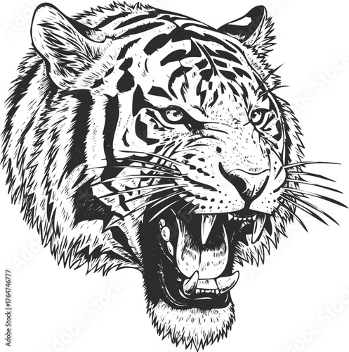 Majestic tiger head roaring fiercely detailed sketch majestic wild animal nature art powerful predator close up engraving art