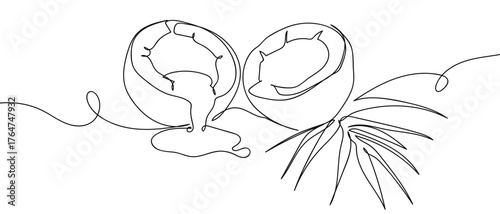 Coconut halved and coconut milk, one continuous line, vector art line. Hand drawn doodle line art linear drawing editable stroke