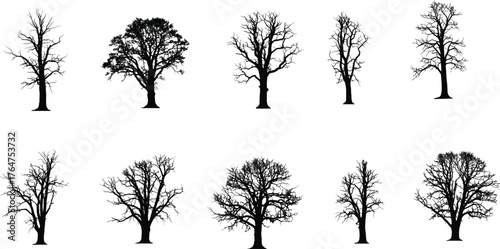 Tree silhouettes collection, black vector trees, deciduous and coniferous icons, oak, pine, willow, foliage pattern, bare branches, landscape elements, cad drawing flat vector illustration
