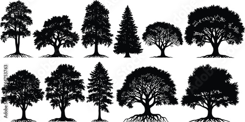Tree silhouettes collection, black vector trees, deciduous and coniferous icons, root design, oak, pine, willow, foliage pattern, landscape elements, cad drawing flat vector illustration
