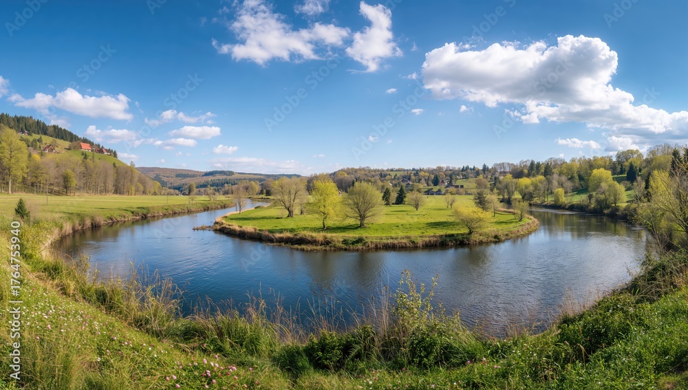 Fototapeta premium Springtime Along the Tanew River in a Forested Region