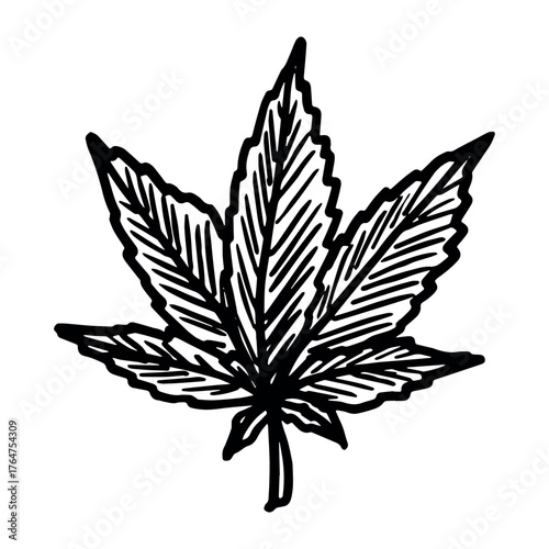 Hand drawn cannabis leaf Medicine marijuana Hemp leaves clipart in doodle style Single element for print, web, design, decor