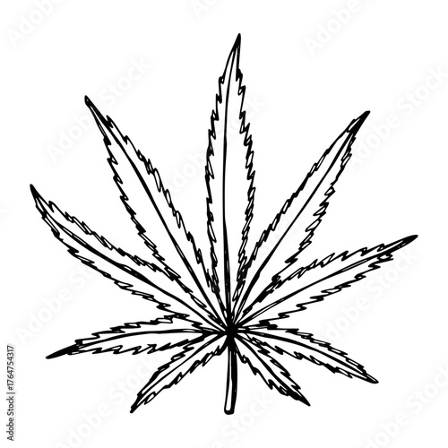 Hand drawn cannabis leaf Medicine marijuana Hemp leaves clipart in doodle style Single element for print, web, design, decor