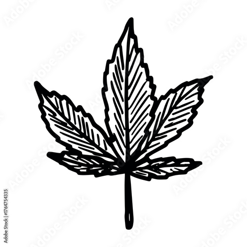Hand drawn cannabis leaf Medicine marijuana Hemp leaves clipart in doodle style Single element for print, web, design, decor