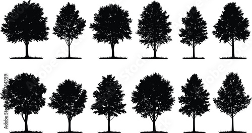 Tree silhouettes collection, black vector trees, deciduous and coniferous icons, willow, oak, pine, nature design, foliage pattern, landscape elements, cad drawing flat vector illustration