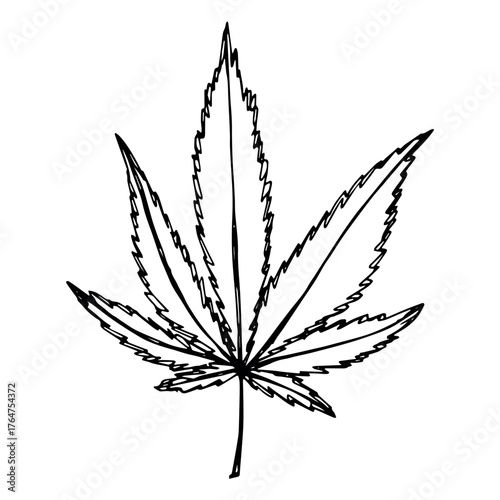 Hand drawn cannabis leaf Medicine marijuana Hemp leaves clipart in doodle style Single element for print, web, design, decor