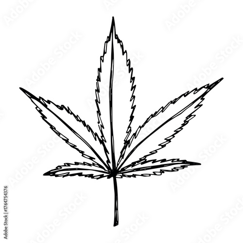Hand drawn cannabis leaf Medicine marijuana Hemp leaves clipart in doodle style Single element for print, web, design, decor