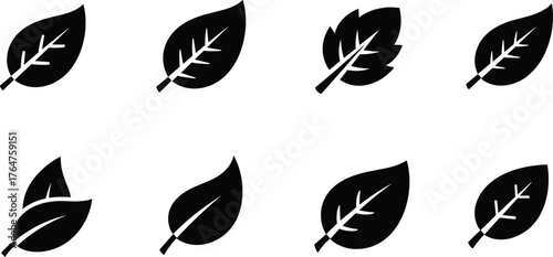 Collection of eight stylized black leaf silhouettes representing nature and growth vector
