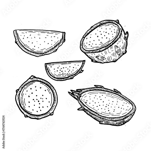 Dragon fruit pieces sketch. Outline engraving illustrations isolated on white background. Vintage tropical fruit sketch
