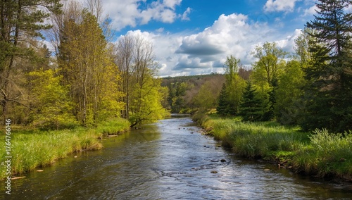 River Flowing Through a For...