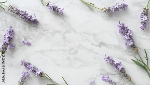 Lavender Flowers Displayed ...