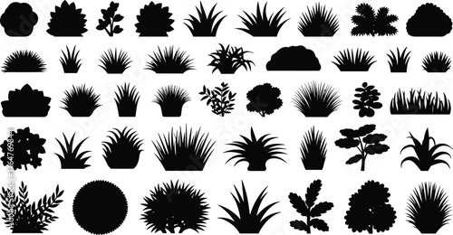 Silhouette bush and shrub vector set with diverse plant shapes for landscape design, gardening, nature, and architectural visualization.