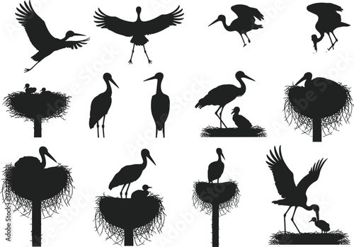 Silhouette illustration of storks flying, standing, and nesting with chicks, elegant bird vector collection for wildlife, nature, and animal design.