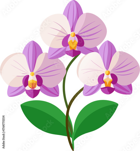 Orchid flowers vector art icon white background