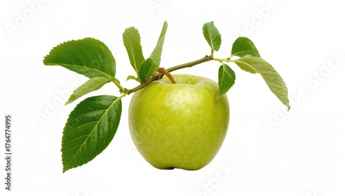 Isolated green apple with t...