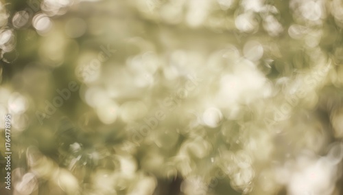 Abstract green bokeh effect...