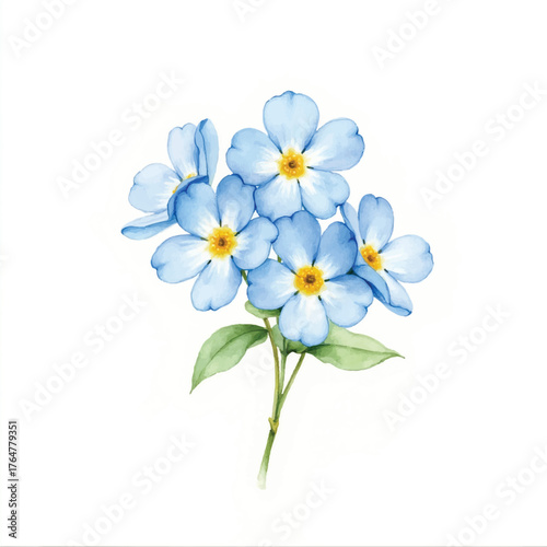 Blue Forget Me Not Flower Watercolor Botanical