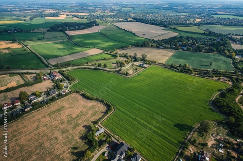 Aerial perspective of lush ...