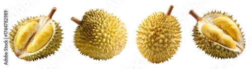 Set isolated fresh fruit, durian in various style, on transparent background.