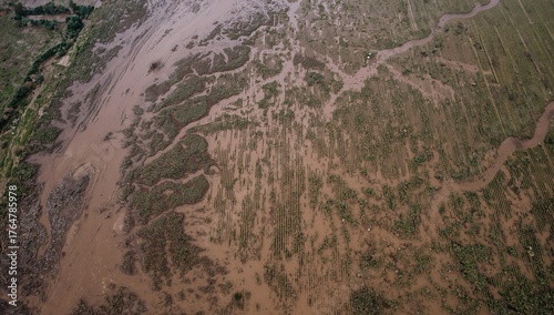 Bird's-eye perspective of v...