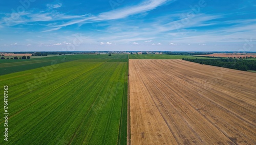 A striking aerial view high...