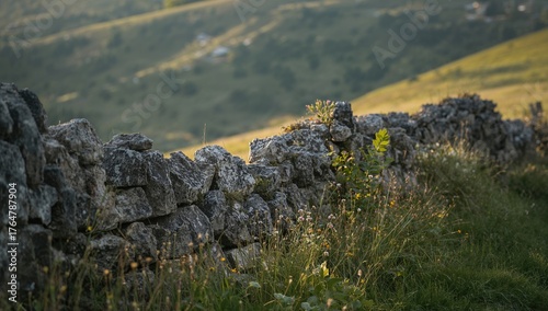 Ancient rock wall covered w...