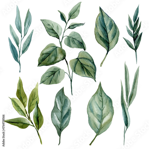 Watercolor Botanical Green Leaves Collection Natural Foliage Variety Handpainted Plant Illustration for Floral Design and Decor