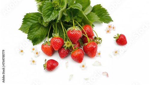 Fresh garden strawberries i...