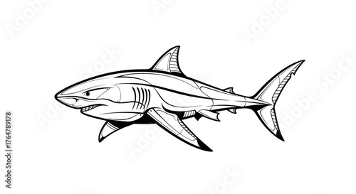 Fierce stylized shark illustration with sharp teeth and determined gaze, perfect for bold branding and powerful designs.