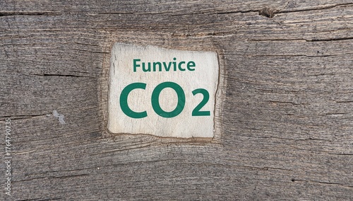 Reducing Carbon Footprint T...