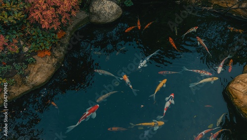 Aerial perspective of a man...